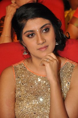 Bhale Manchi Roju Movie Music Launch